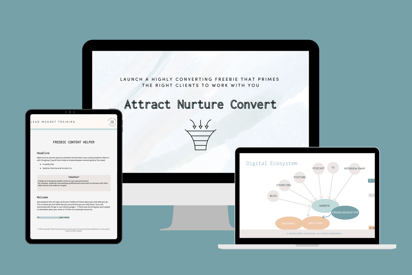 Attirer Nourrir Convertir